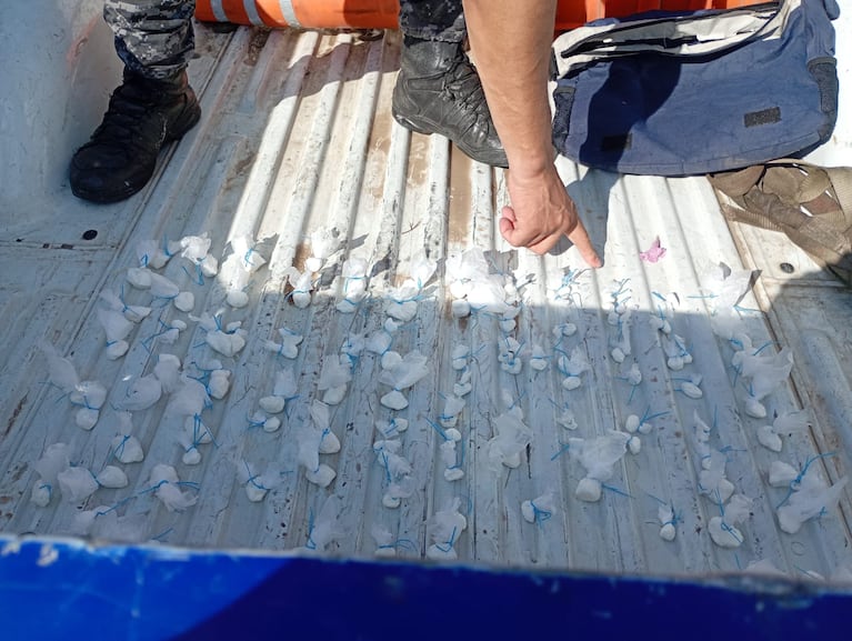 Escapaba de la Policía con 120 dosis de cocaína, chocó contra una casa y fue detenido