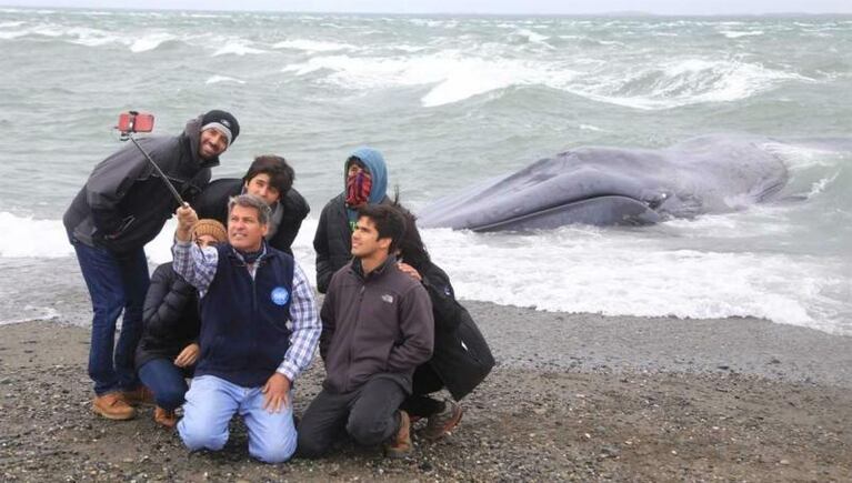 Escriben un grafiti sobre una ballena muerta en la costa