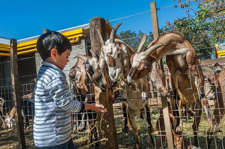 Escuelas de verano: lo que tenés que saber para disfrutarlas