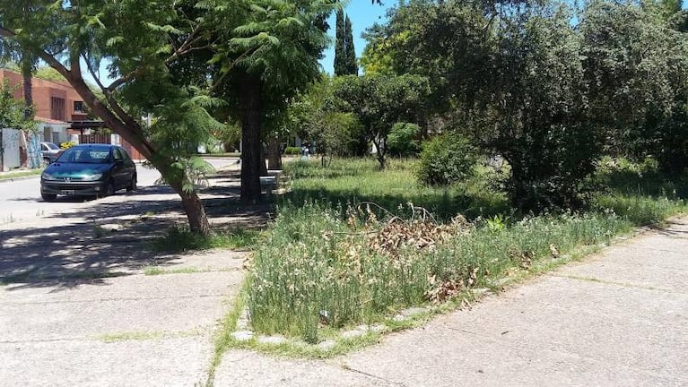 Espacios verdes olvidados y abandonados en Córdoba