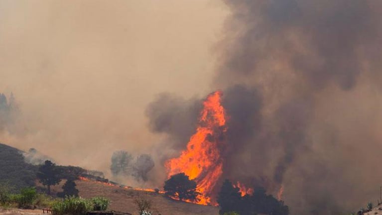 España: Incendio en Gran Canaria obliga a evacuar a 9000 personas