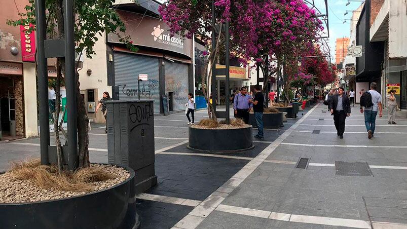 "Esperamos que el sábado sea el boom del movimiento", aseguraron desde la Cámara.