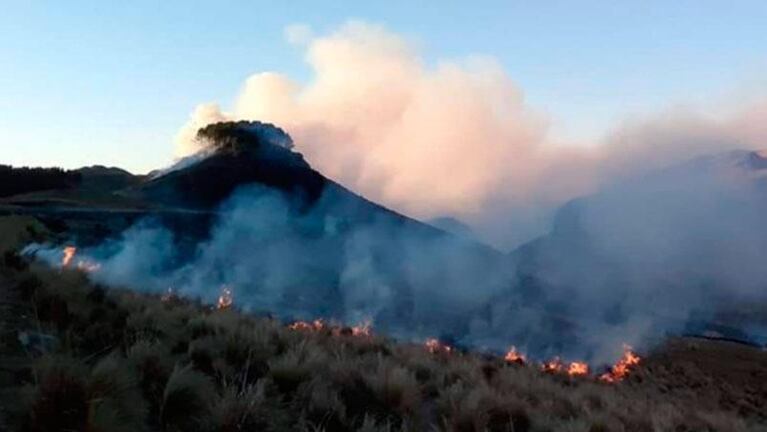 Está contenido el incendio en Rodeo de los Caballos