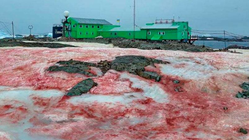 Esta nieve contribuye al aumento del cambio climático.