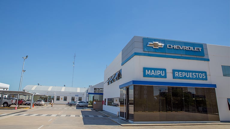 Esta revisión es necesaria para evitar poner en riesgo la vida de los conductores y ocupantes del automóvil.