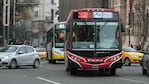 Este domingo el transporte urbano será gratuito.