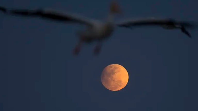 Este martes fue la última Luna llena del verano en el hemisferio sur.