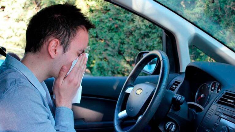 Estornudos, lagrimeo, congestión nasal, fatiga y picor en la piel, ojos y garganta, son algunos de los principales síntomas.
