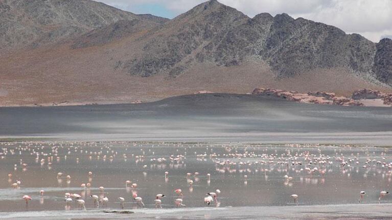 Estos son los pueblos argentinos que compiten para ser el mejor del mundo