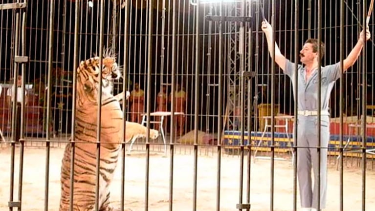 Ettore Weber en un ensayo junto a un tigre.