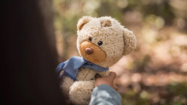 Extorsionaron a una familia por un oso de peluche.