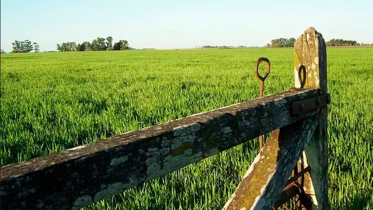 Extranjerización de la tierra: ¿por Córdoba cómo andamos?