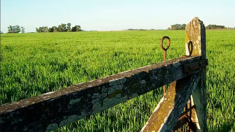 Extranjerización de la tierra: ¿por Córdoba cómo andamos?