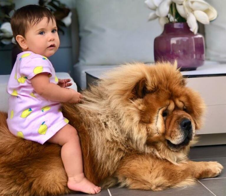 Facundo Campazzo y su perro Bruno: las fotos que cautivan en Instagram