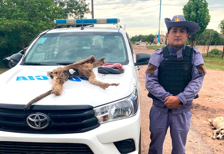 Faenaron un puma y alardearon en redes: los identificaron pero siguen en libertad y hay indignación