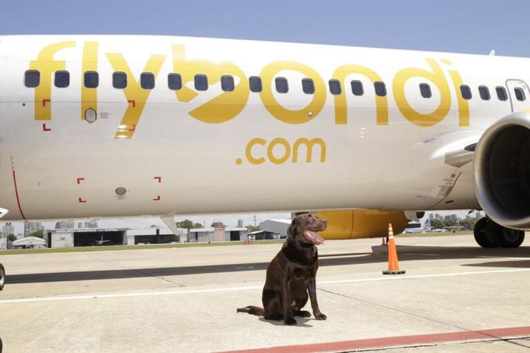 Falla técnica en el vuelo promocional de Flybondi en Córdoba