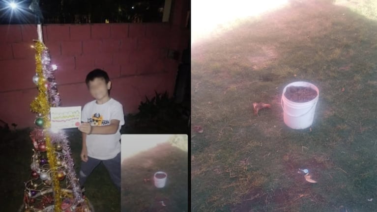 Familia cordobesa armó el arbolito y se lo robaron un día después.