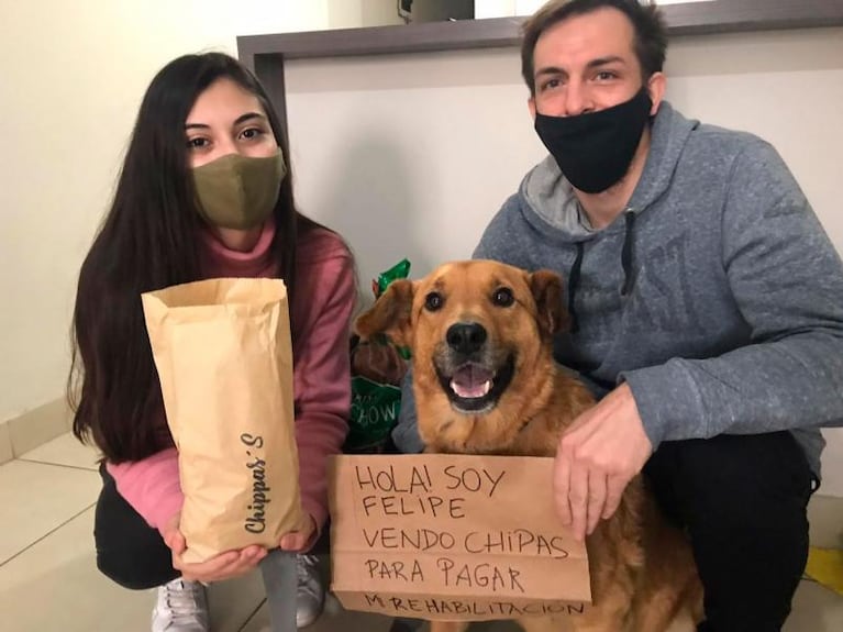 Felipe, el perro callejero que fue atropellado y “vende chipás” para recuperarse