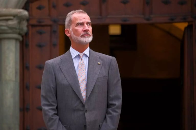 Felipe VI , Rey de España.