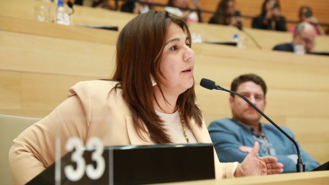 Fernández aseguró que la Legislatura "fue víctima" de las maniobras de Kraisman.
