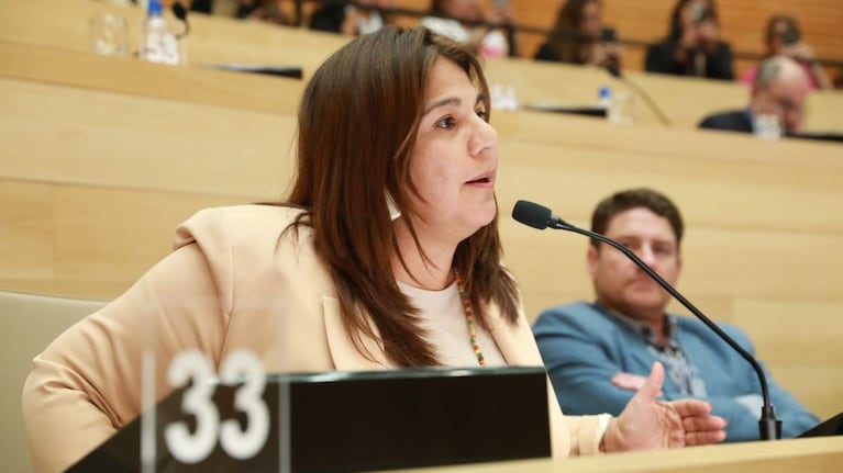 Fernández aseguró que la Legislatura "fue víctima" de las maniobras de Kraisman.