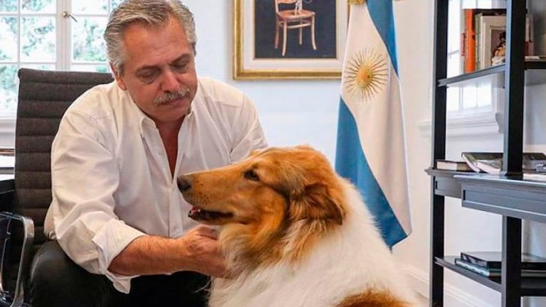 Fernández y su perro Dylan, reconocido personaje en Instagram con más de 283 mil seguidores.