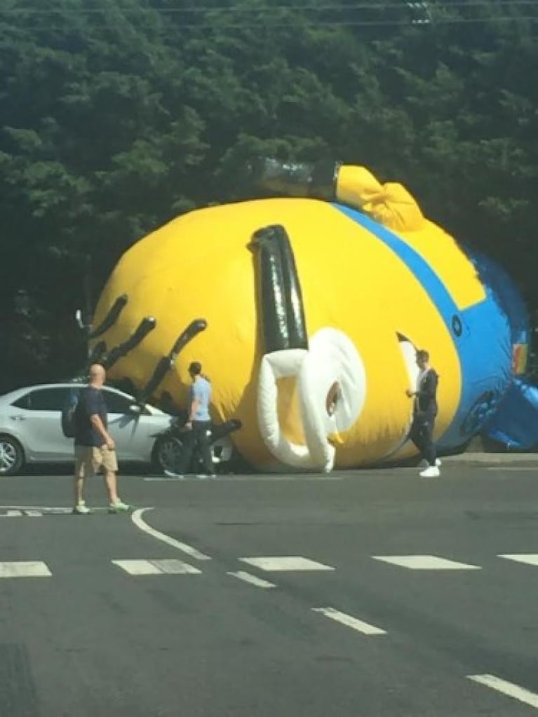 Fiebre amarilla: un "minion" gigante provocó un choque