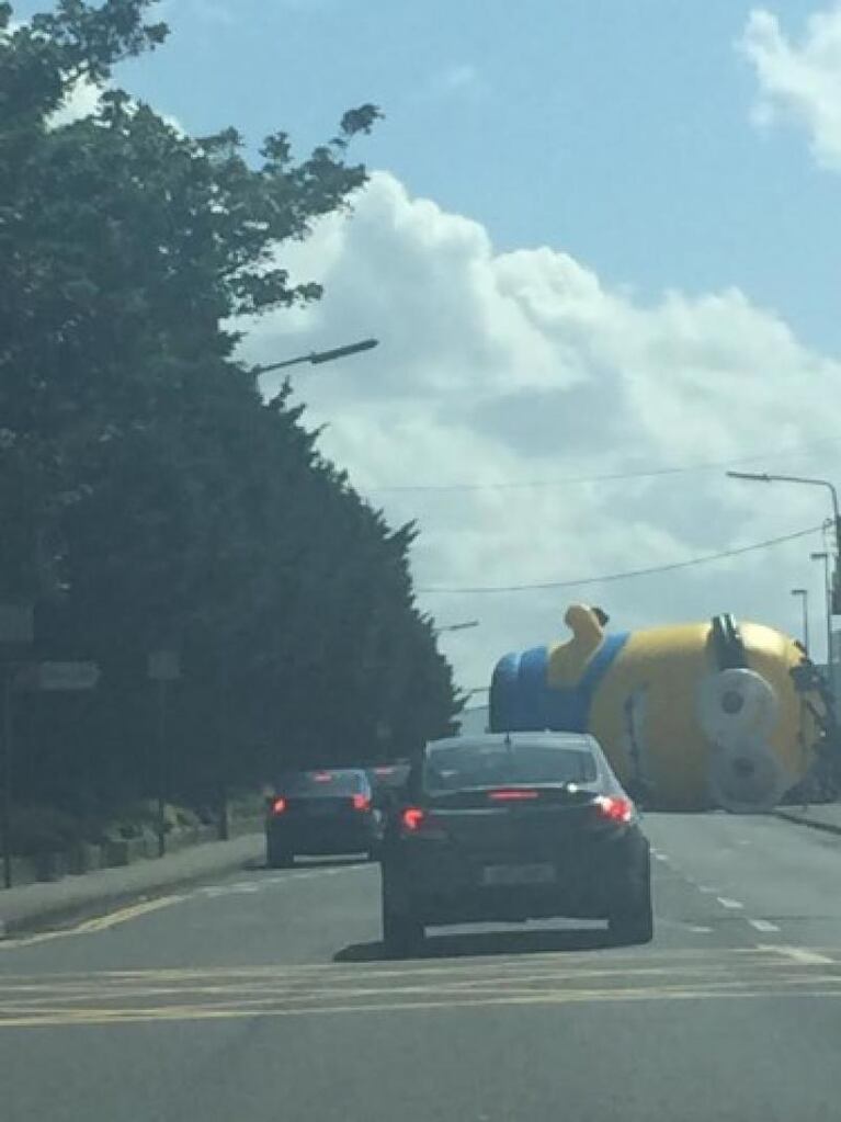 Fiebre amarilla: un "minion" gigante provocó un choque