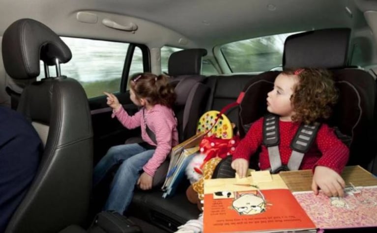 Fiestas y verano: cómo trasladar niños y mascotas para evitar multas en las rutas de Córdoba