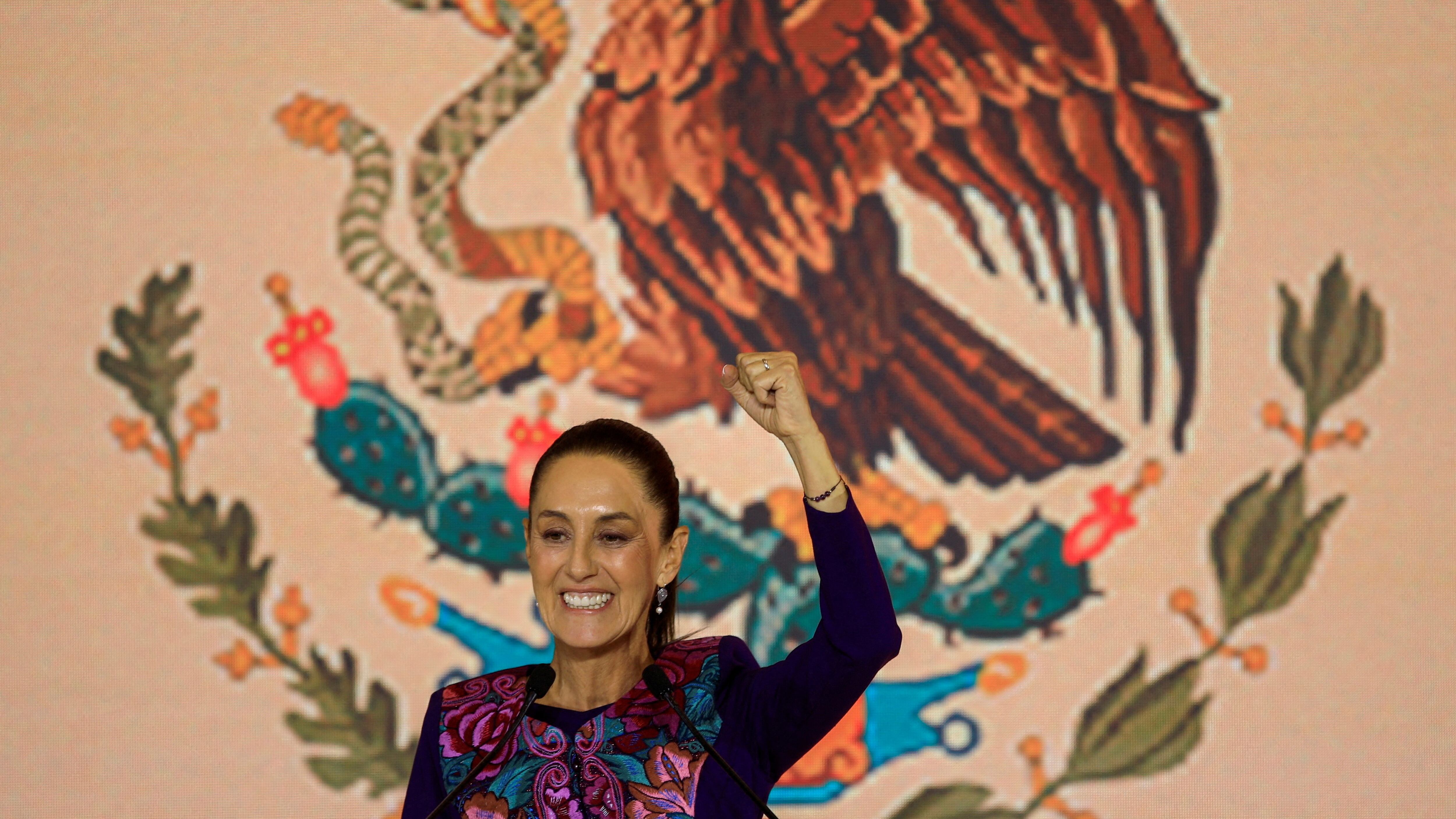 FILE PHOTO: Claudia Sheinbaum, the presidential candidate of the ruling Morena party, gestures while addressing her supporters after winning the presidential election, in Mexico City, Mexico June 3, 2024. REUTERS/Raquel Cunha//File Photo