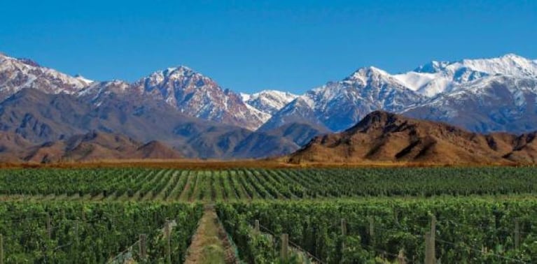 Fin de semana largo: cuánto sale volar a Buenos Aires, Bariloche, Cataratas y Mendoza desde Córdoba