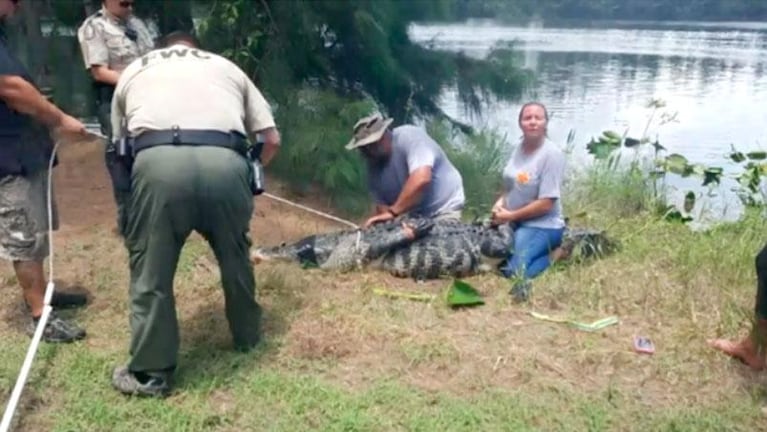 Florida: la buscaban desesperadamente y sus restos aparecieron dentro de un caimán