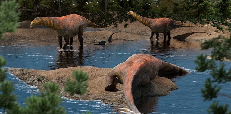 Foto de dinosautios por el Conicet.