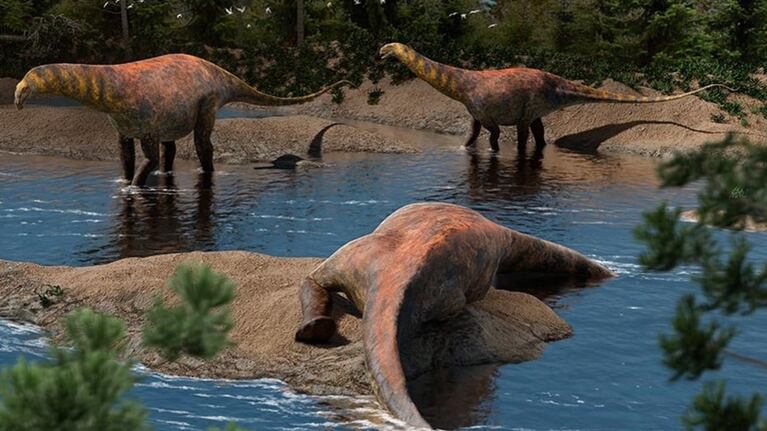 Foto de dinosautios por el Conicet.
