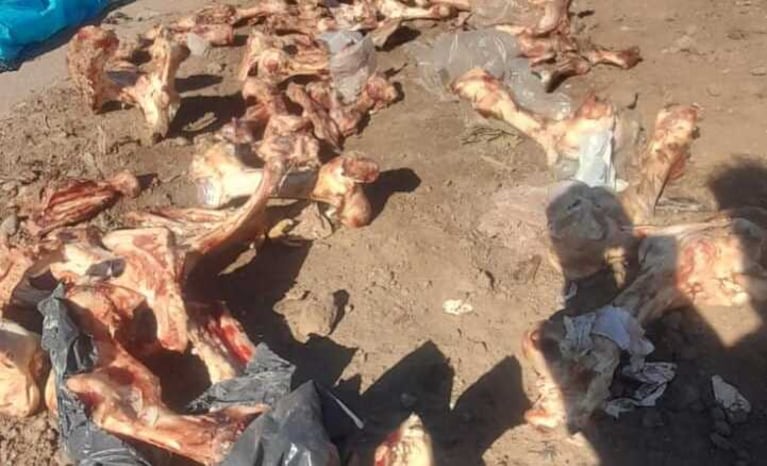 Frigorífico clausurado en Córdoba por arrojar restos de carnes y huesos a la vía pública.