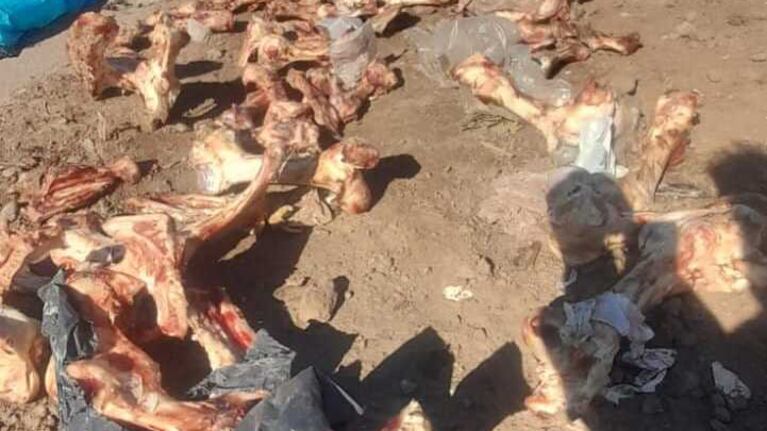 Frigorífico clausurado en Córdoba por arrojar restos de carnes y huesos a la vía pública.
