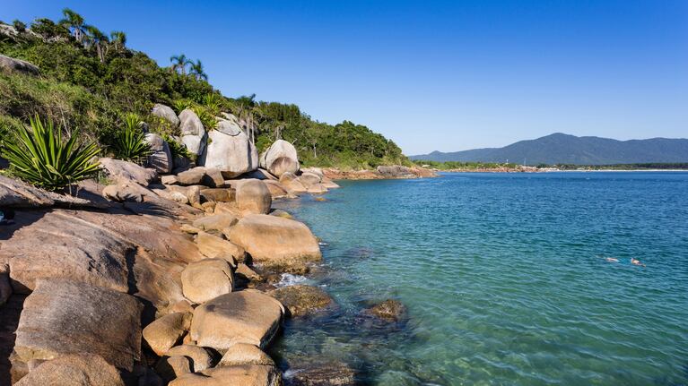 Fue a Brasil, se metió en el mar a ver peces y sufrió una dolorosa lesión: “La pasé muy mal”