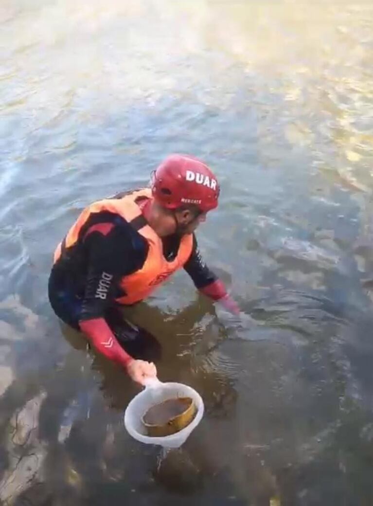 Fue al río San Antonio y encontró cráneos humanos partidos al medio