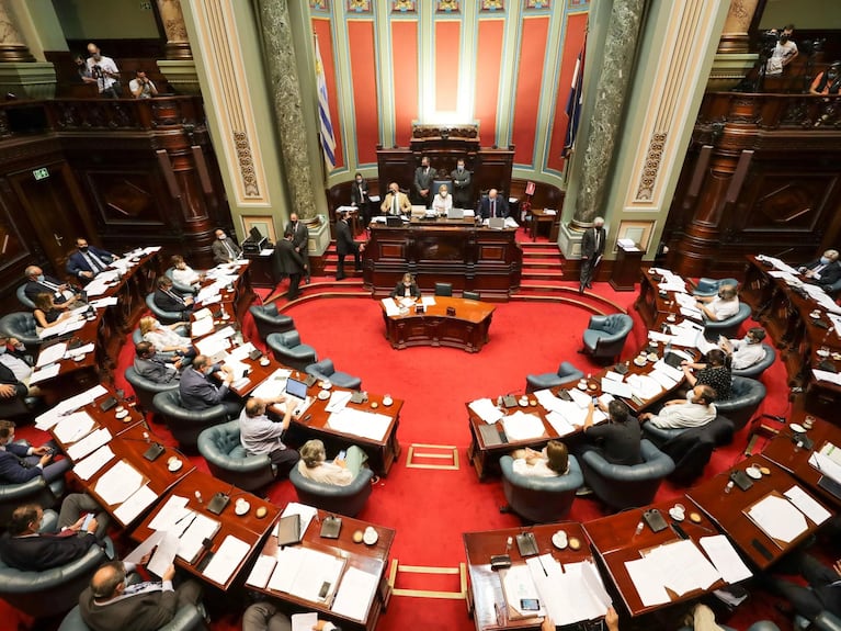 Fue necesario un largo ida y vuelta parlamentario para que la Cámara Alta uruguaya aprobara la ley.