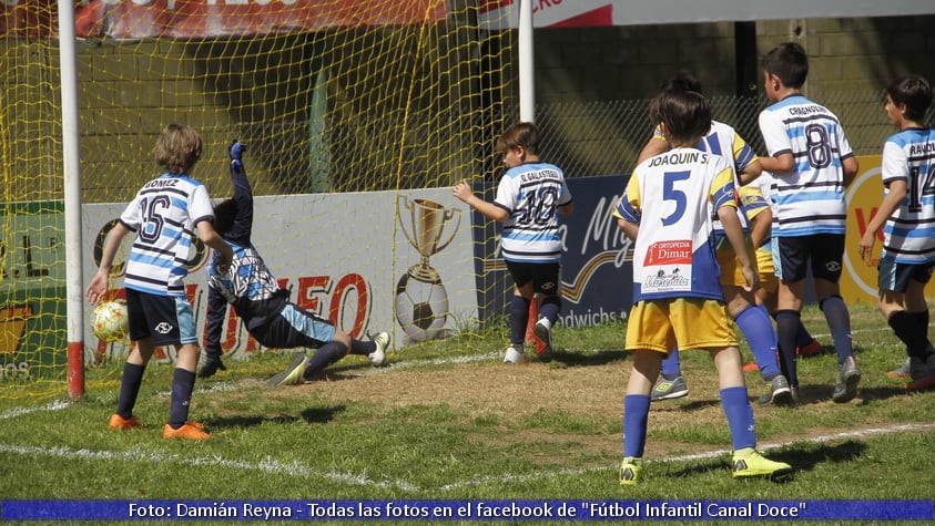 Fue un domingo feliz para los que vistieron camiseta azul y oro. 