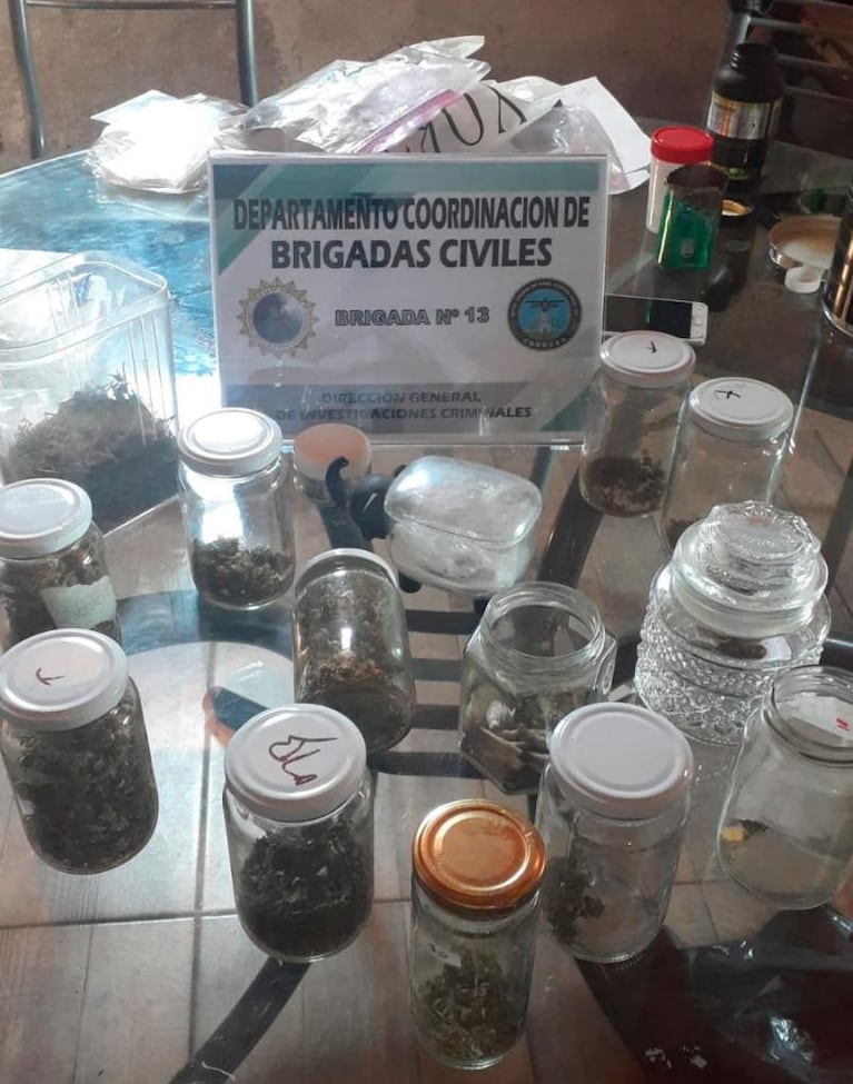 Fueron por maltrato animal y encontraron una plantación de marihuana, éxtasis y hasta crack