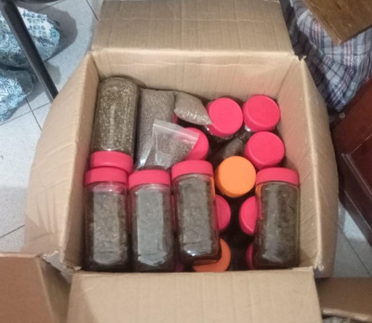 Fueron por una crisis nerviosa y se encontraron con marihuana por todos lados.