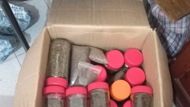 Fueron por una crisis nerviosa y se encontraron con marihuana por todos lados.