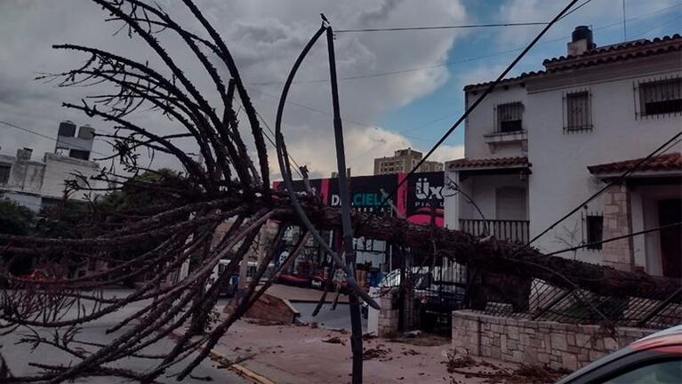 Fuerte tormenta de viento causó daños en Córdoba