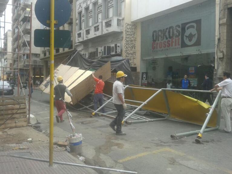 Fuerte viento tiró árboles en Córdoba