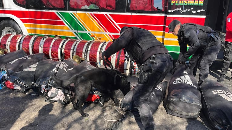 Fuerzas provinciales requisaron los colectivos de la barra de River.