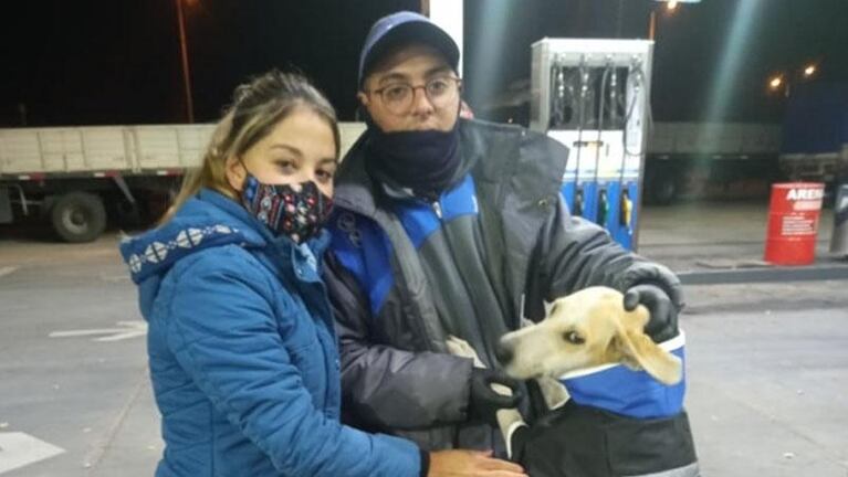 Furor por Rubia: empleados de una YPF adoptaron una perrita y le hicieron el uniforme