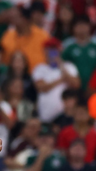 Gakpo marcó un gol más que especial tras la difícil noticia.