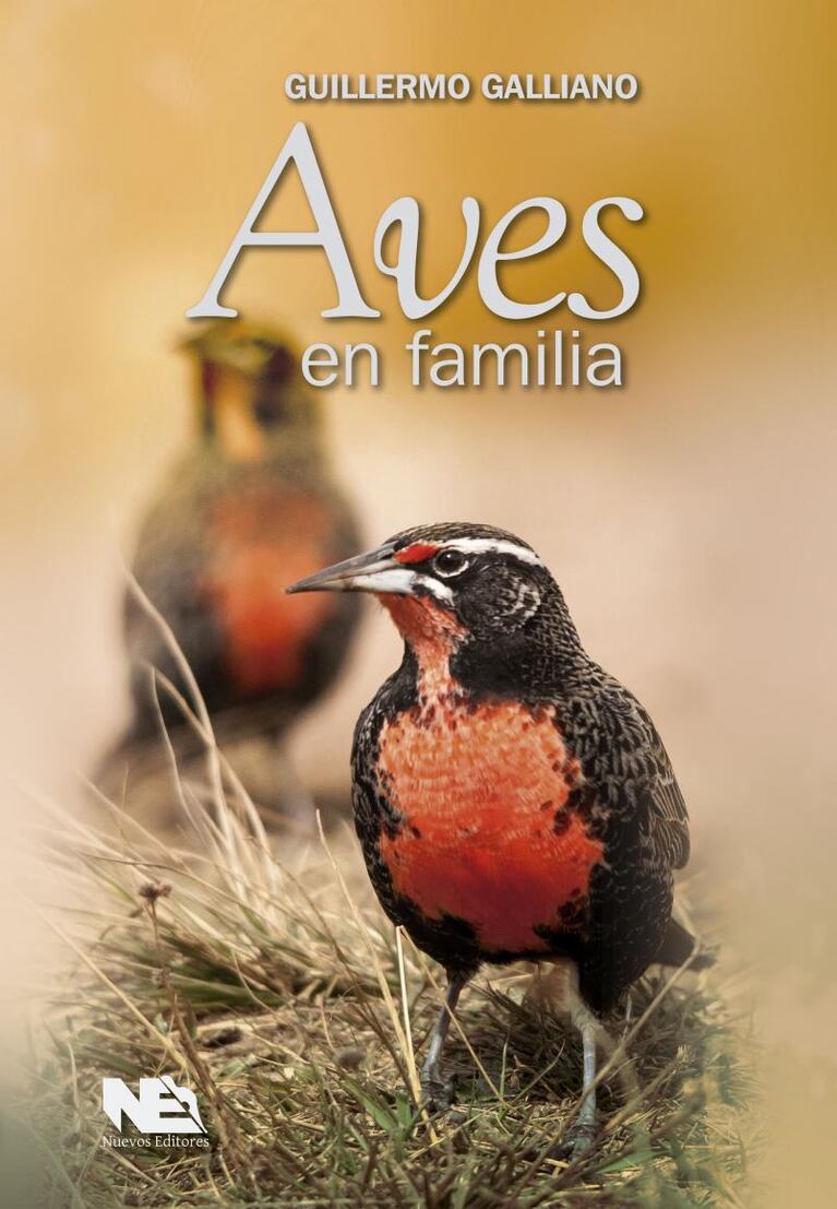 Ganadores de "Aves en familia", un vuelo fascinante por la naturaleza