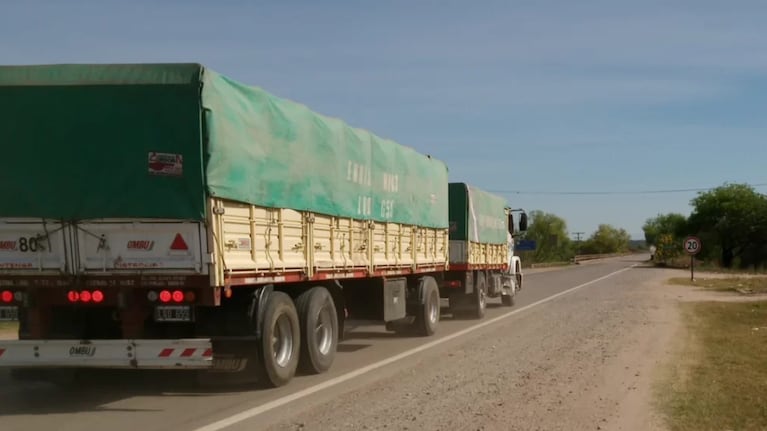 Gendarmería Nacional perita el celular del camionero. (Foto: gentileza DNI Salta).